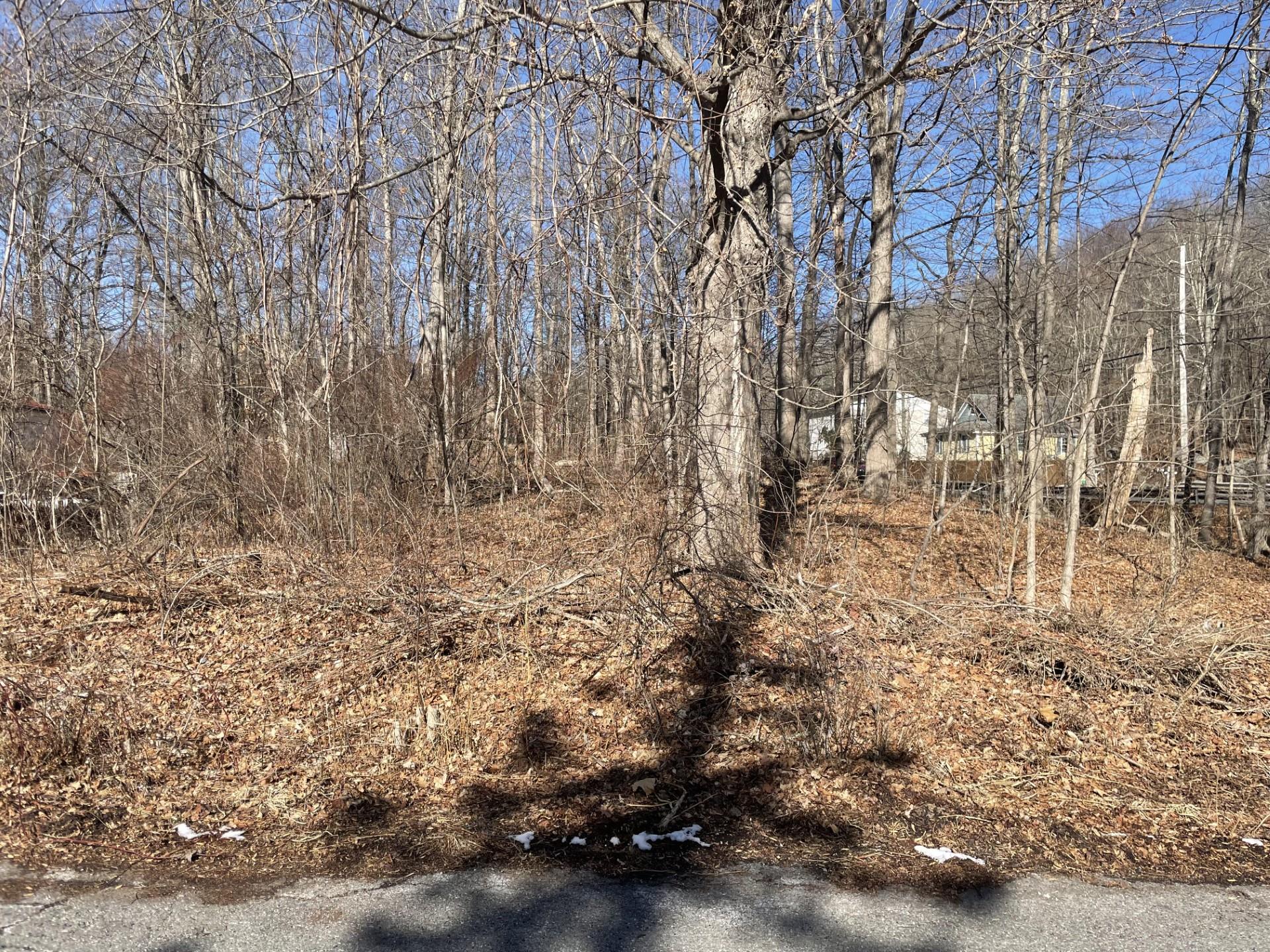 #2 photo, Route 52, Carmel , NY 10512