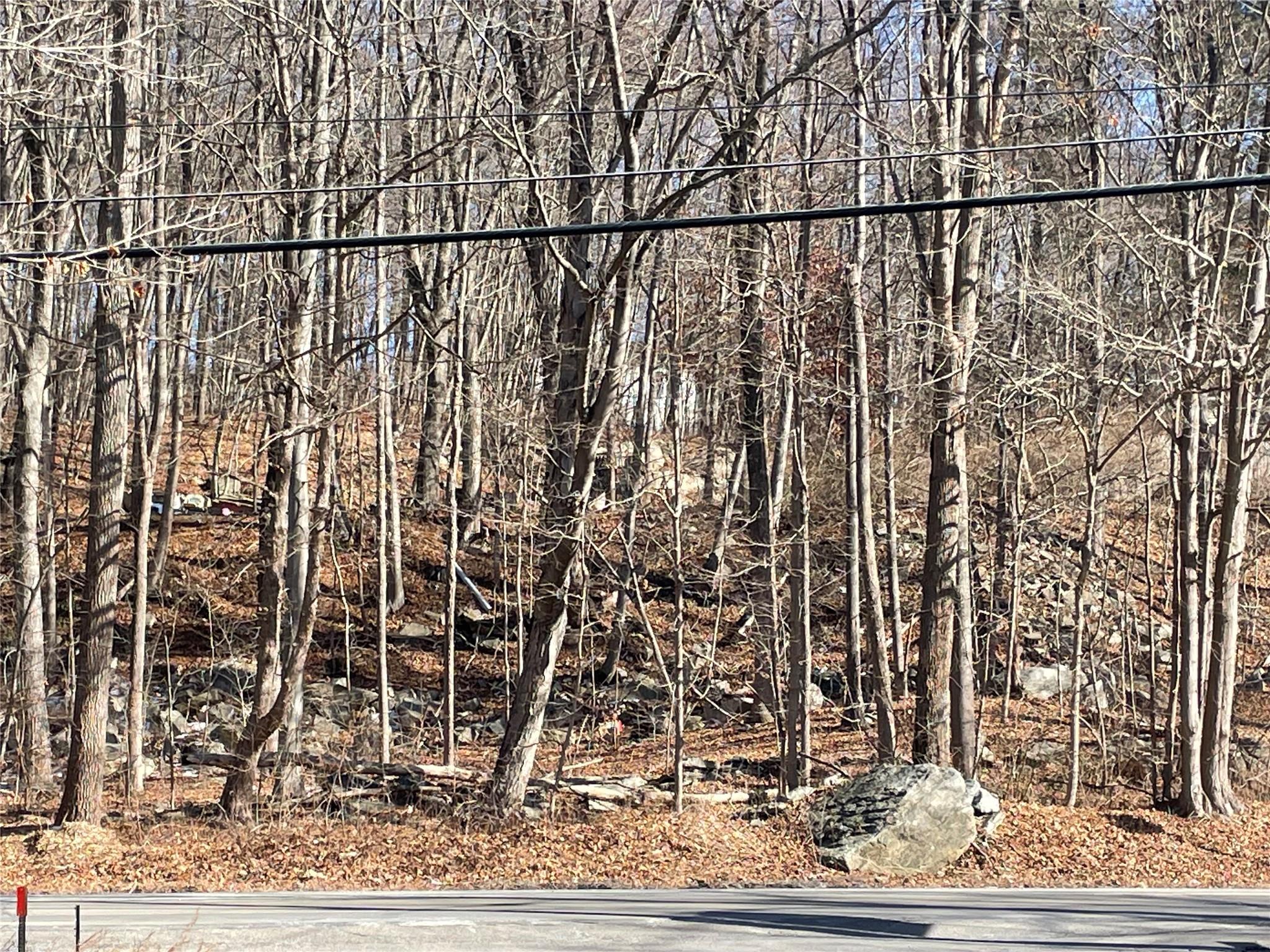 #3 photo, Route 52, Carmel , NY 10512