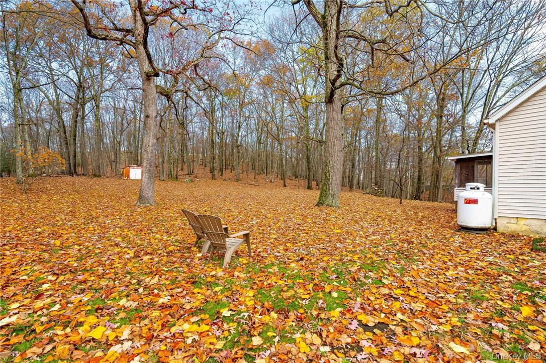 #20 photo, 802 Forest Glen Road, 紐約州 Monroe , NY 10950