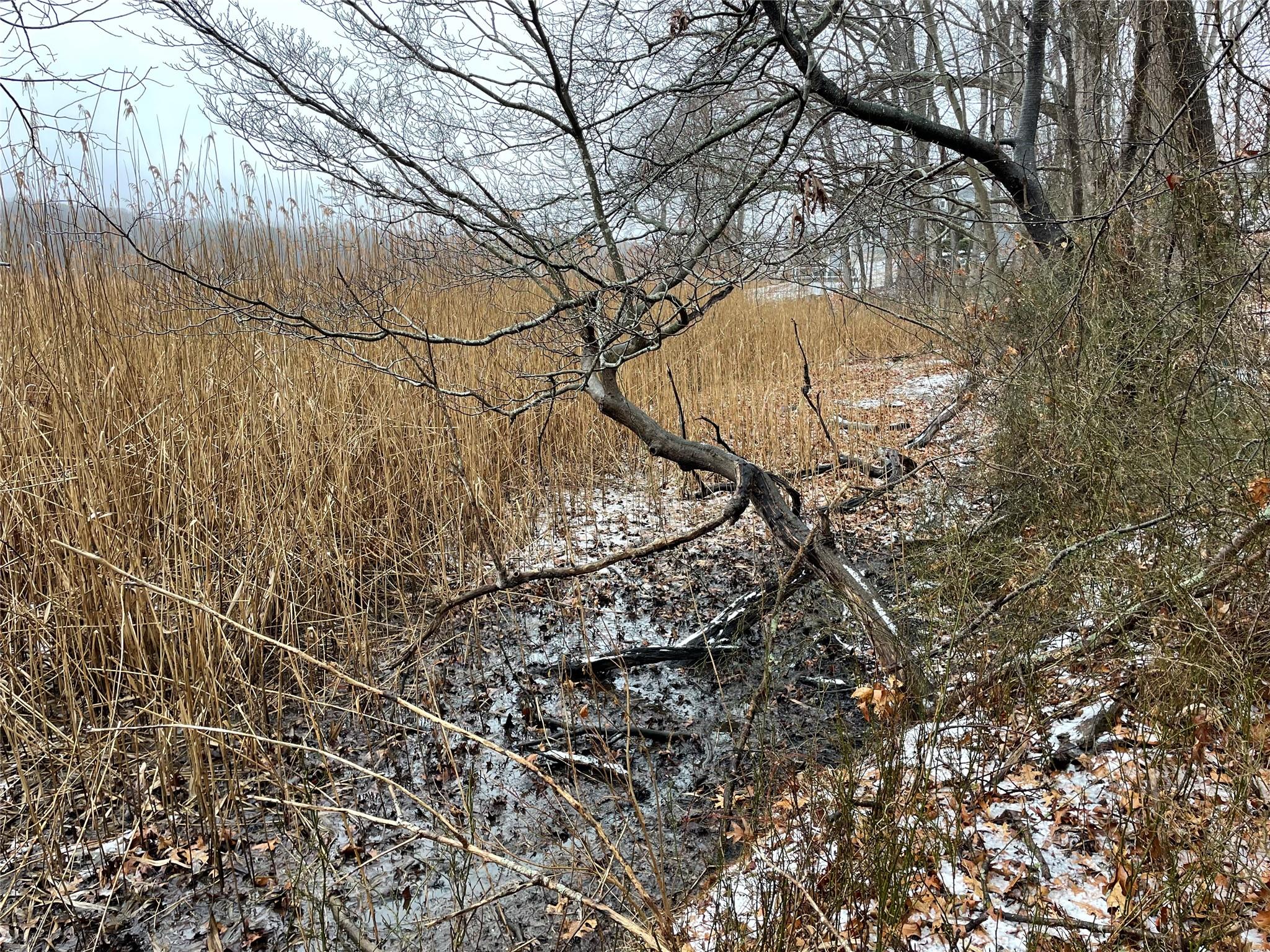 #15 photo, 326A Nissequogue River Road, Saint James , NY 11780