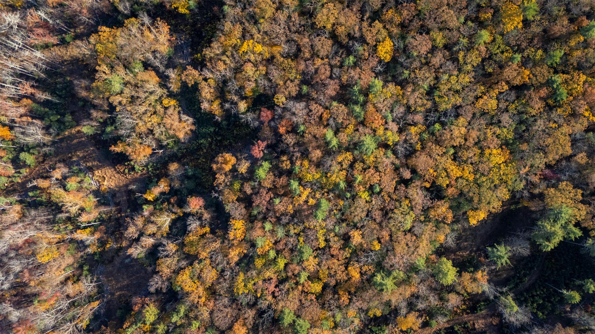 #10 photo, TBD 60 Acre Zena Road, Kingston , NY 12498