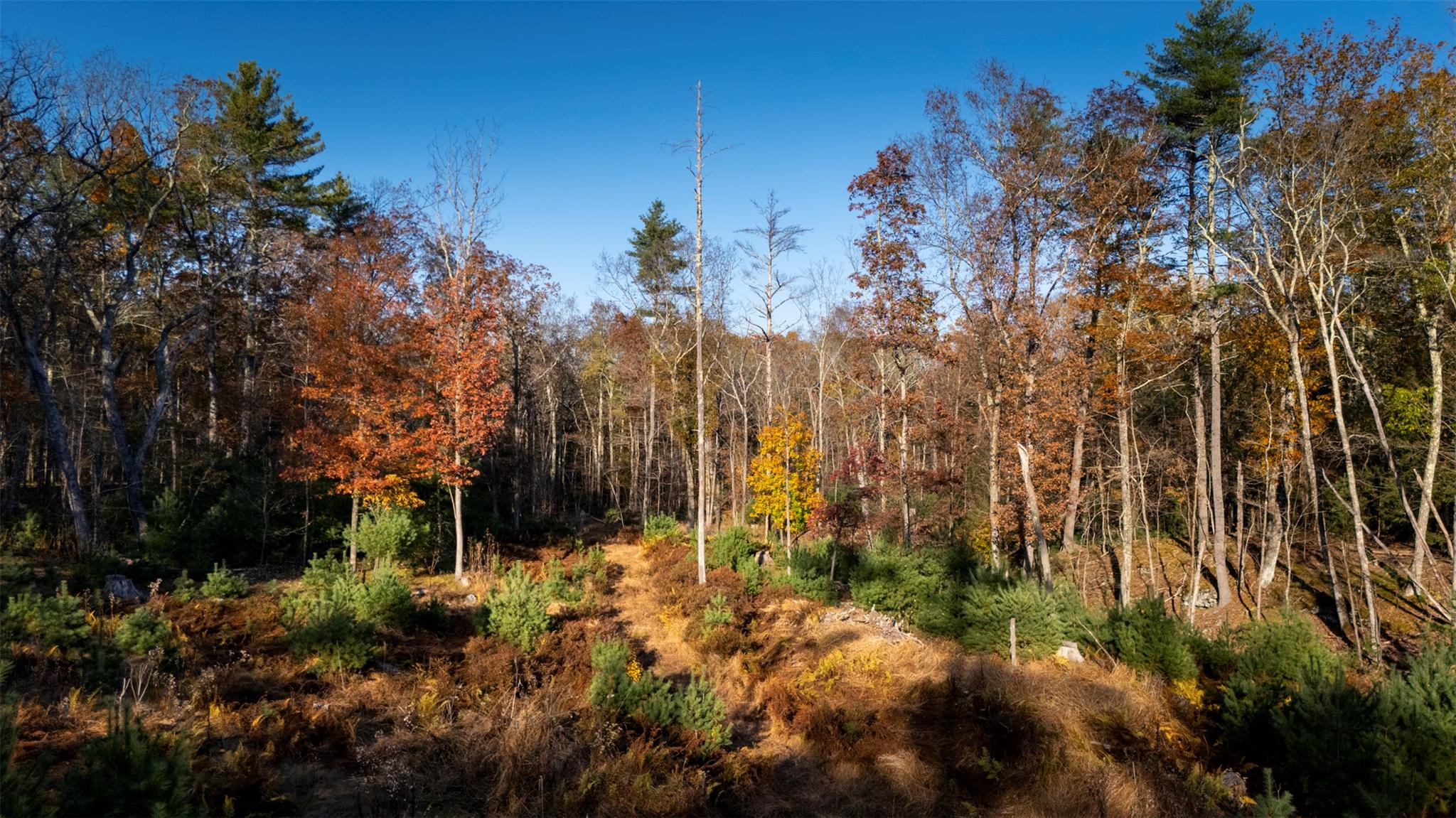 #16 photo, TBD 60 Acre Zena Road, Kingston , NY 12498