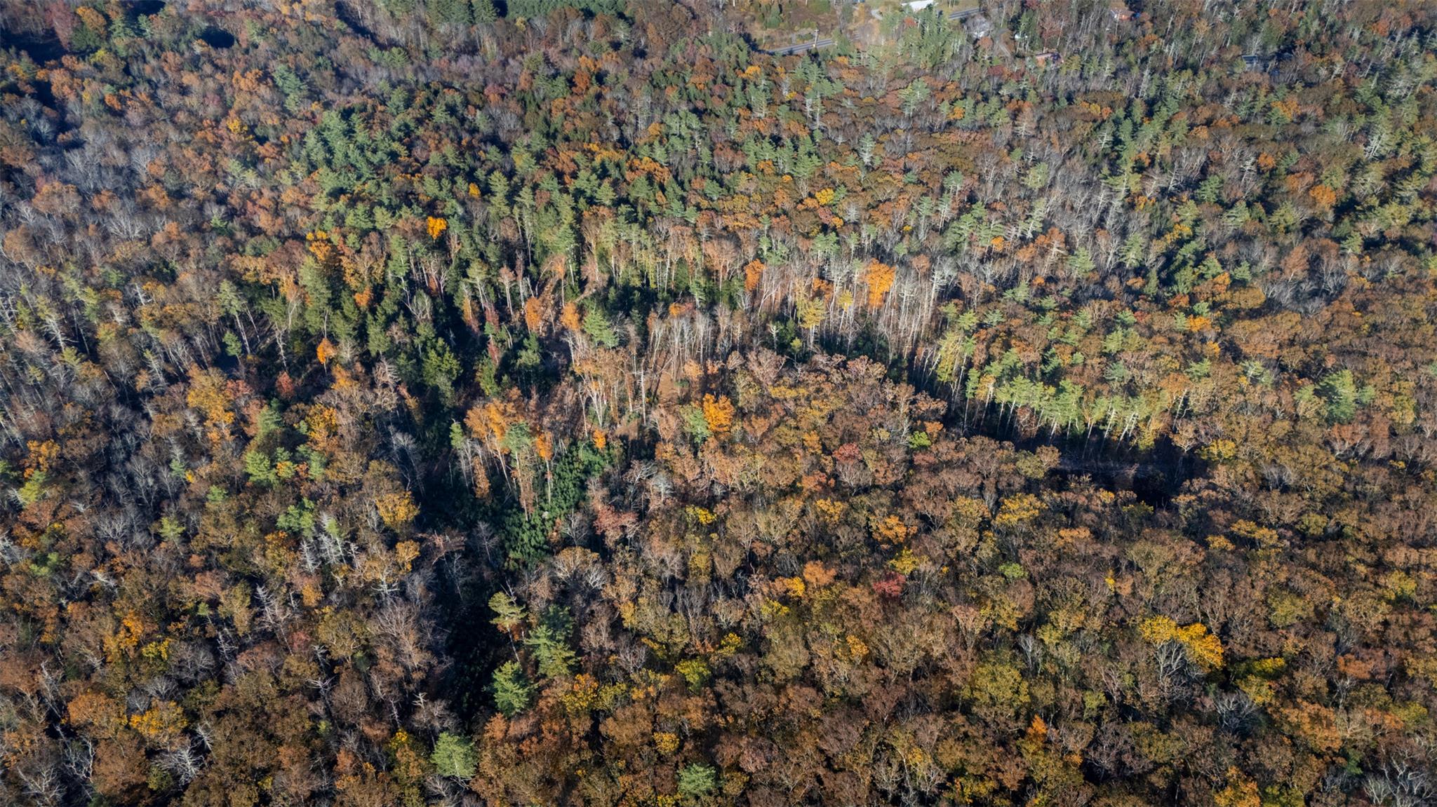 #17 photo, TBD 60 Acre Zena Road, Kingston , NY 12498