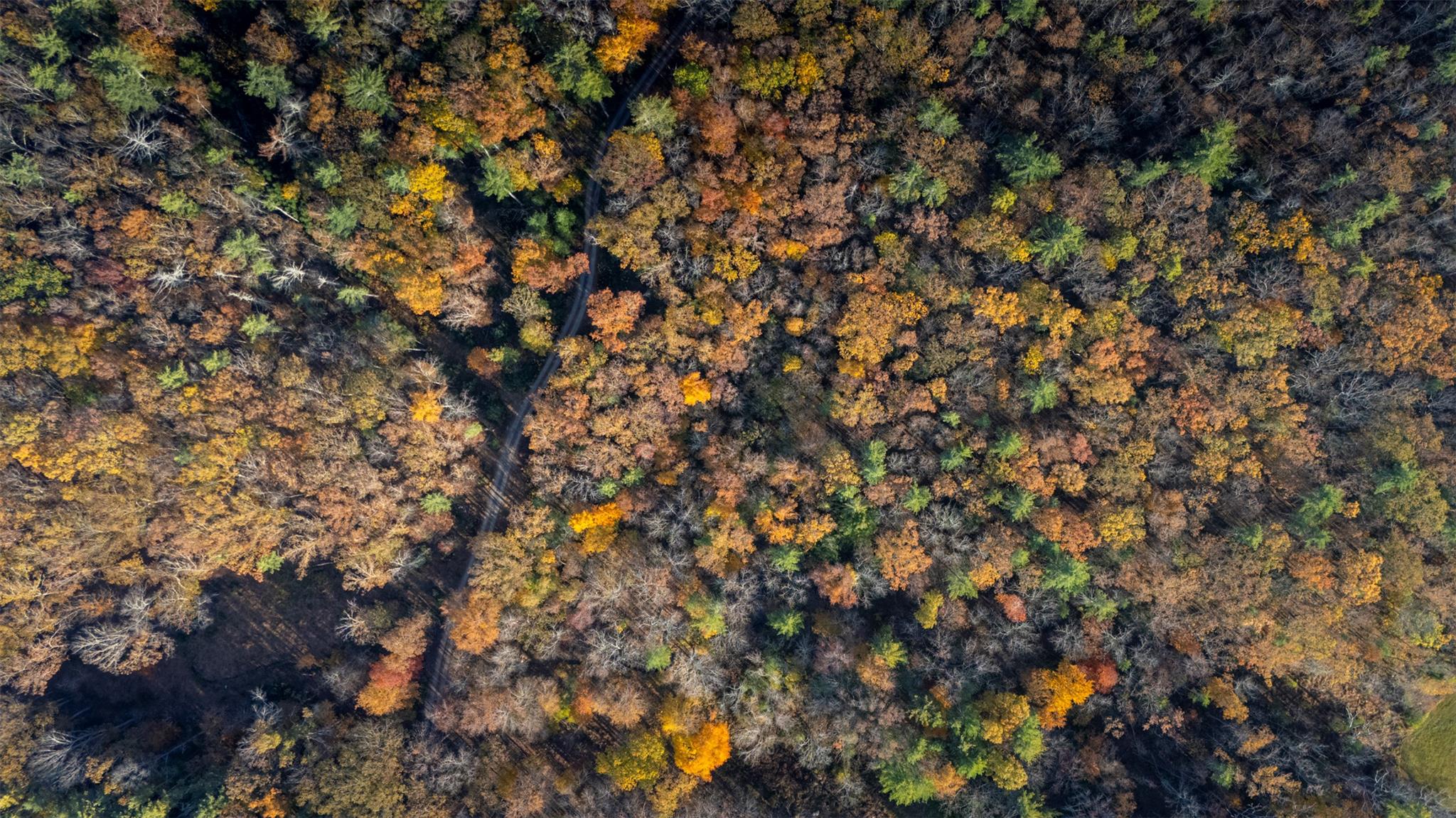 #20 photo, TBD 60 Acre Zena Road, Kingston , NY 12498