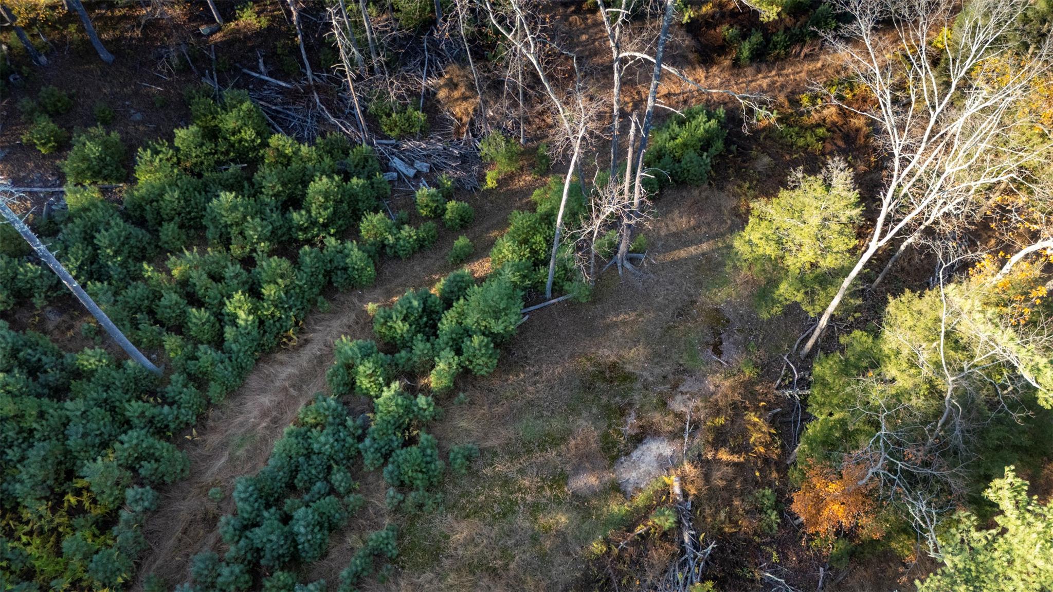 #9 photo, TBD 60 Acre Zena Road, Kingston , NY 12498