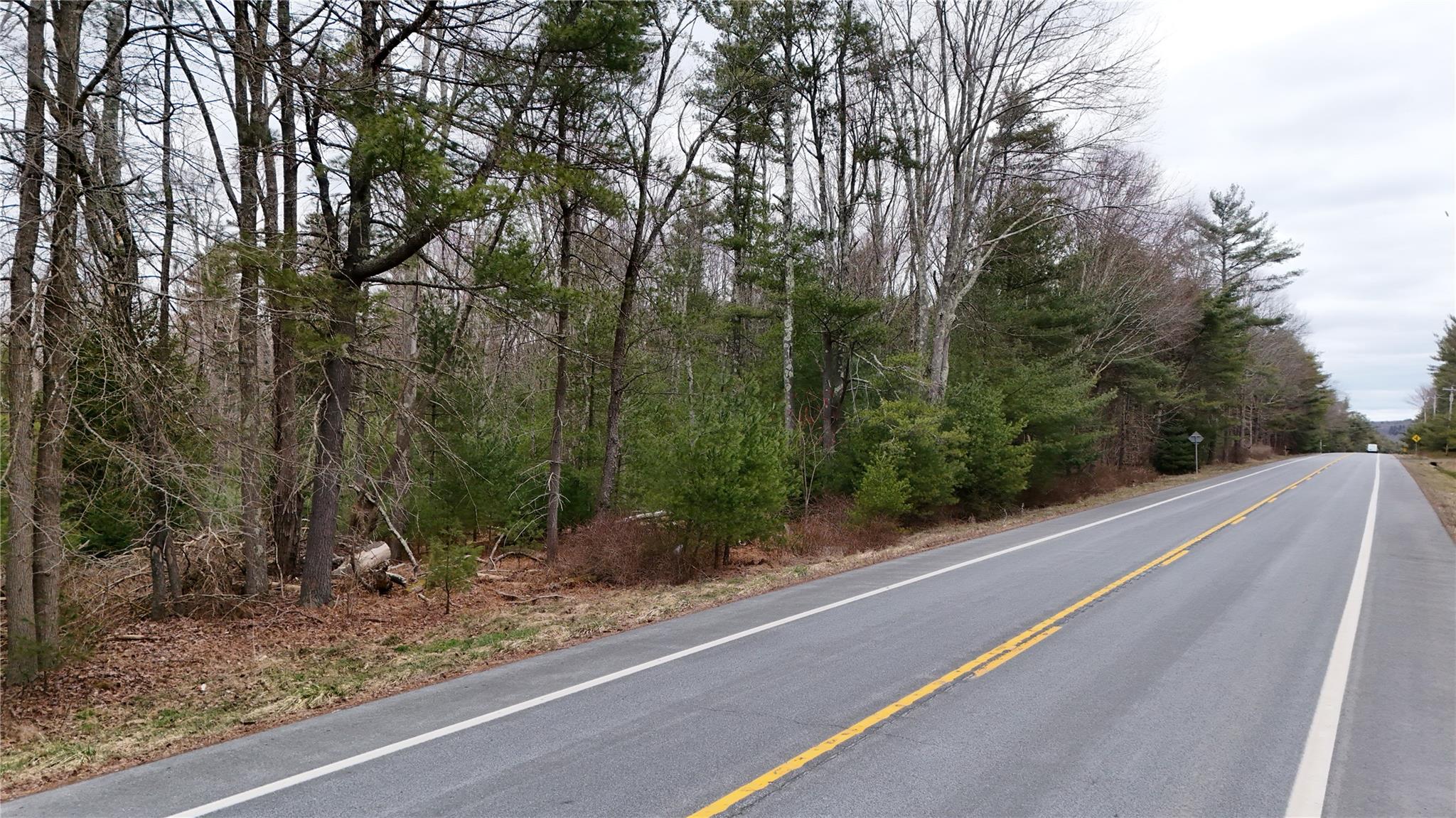 #10 photo, Route 42, Forestburgh , NY 12777