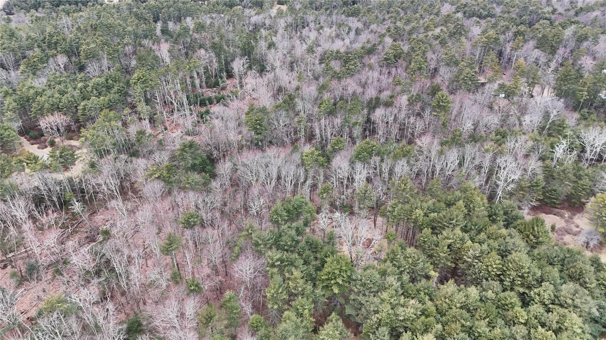 #11 photo, Route 42, Forestburgh , NY 12777