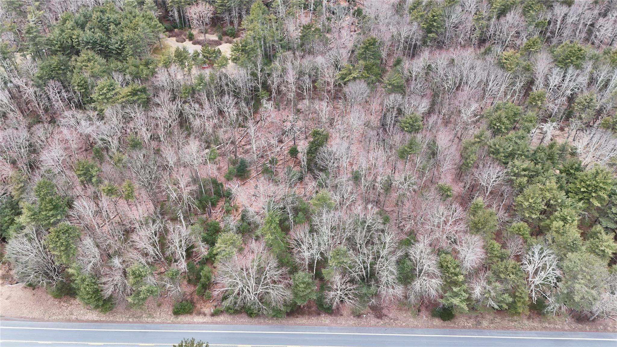 #3 photo, Route 42, Forestburgh , NY 12777