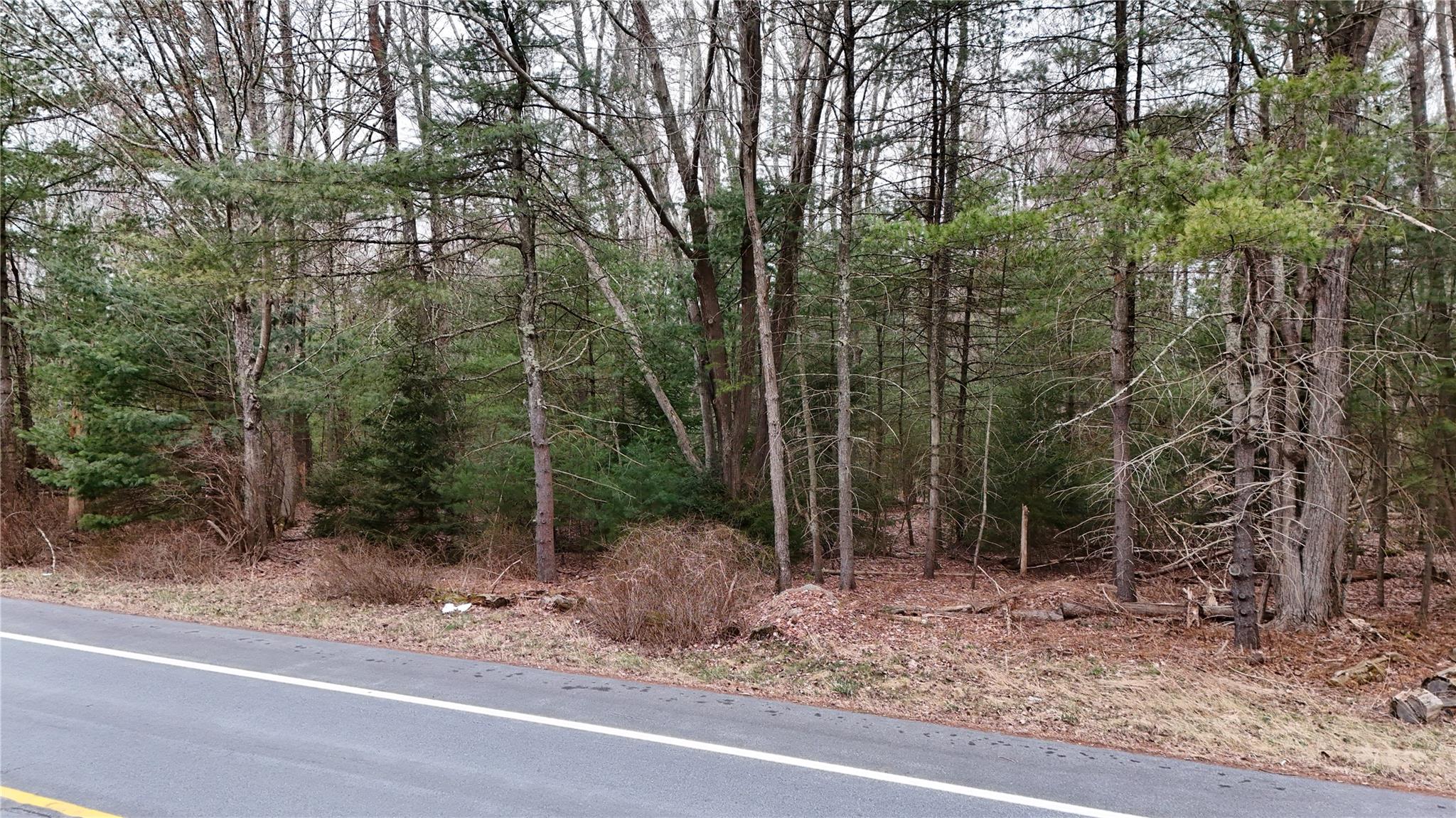 #6 photo, Route 42, Forestburgh , NY 12777