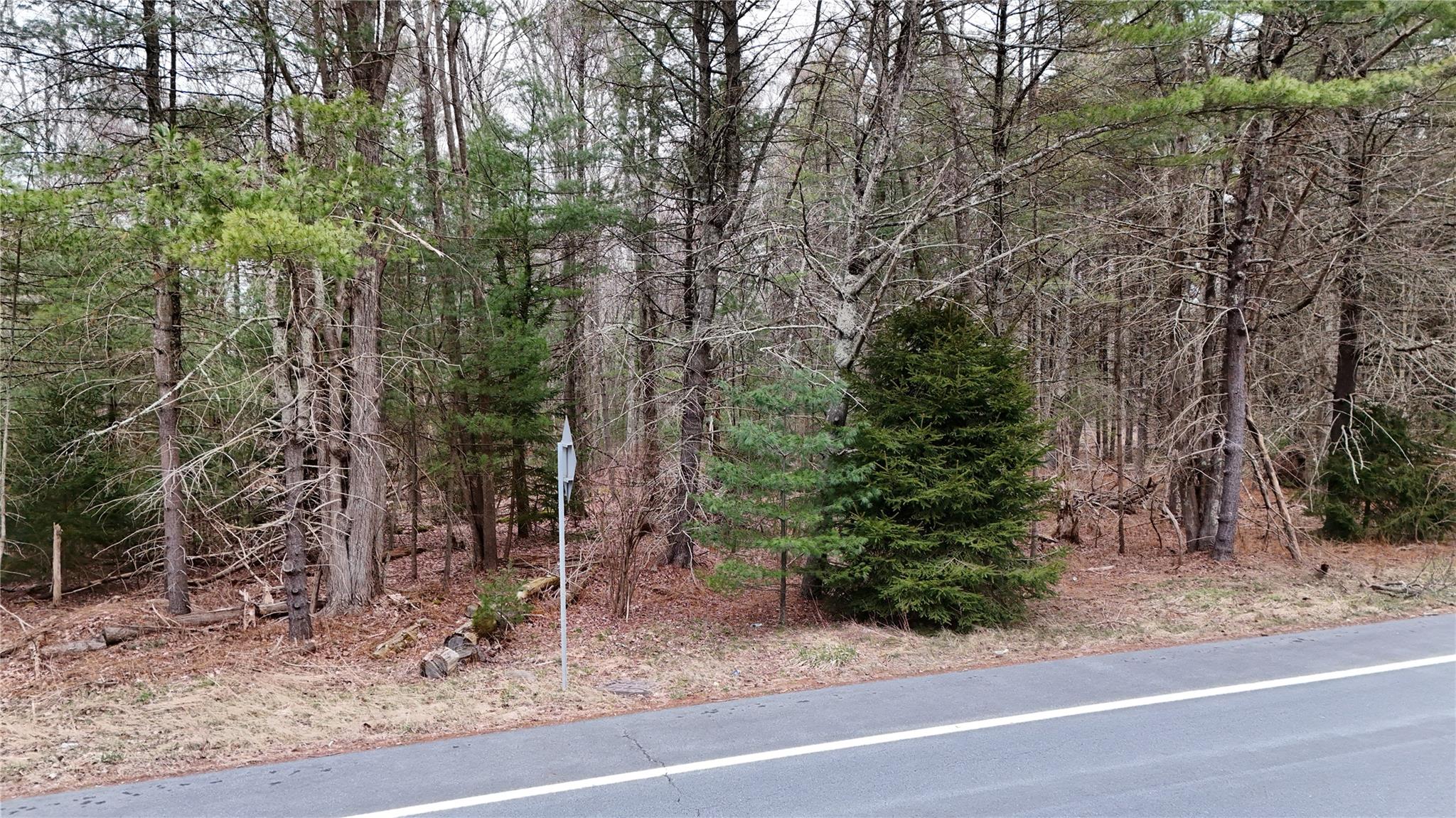 #7 photo, Route 42, Forestburgh , NY 12777