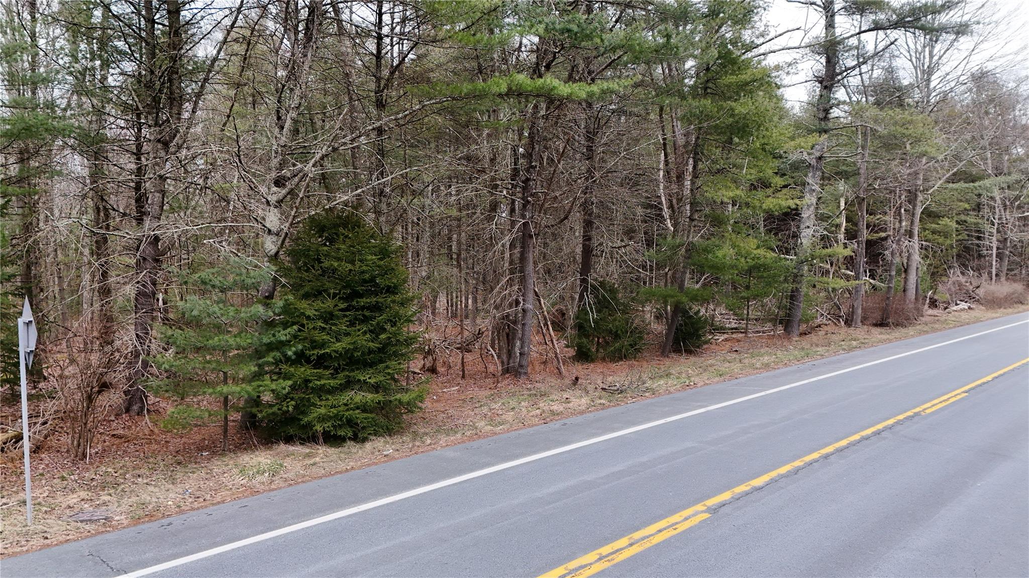 #8 photo, Route 42, Forestburgh , NY 12777