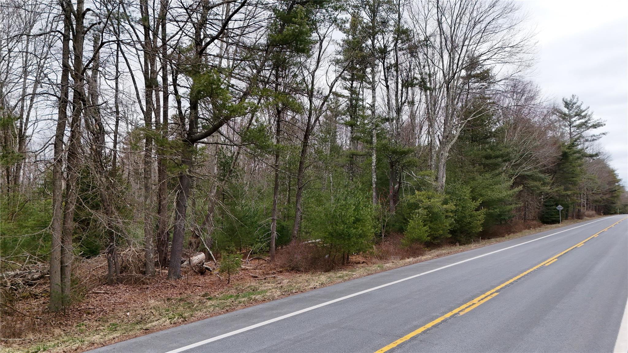 #9 photo, Route 42, Forestburgh , NY 12777