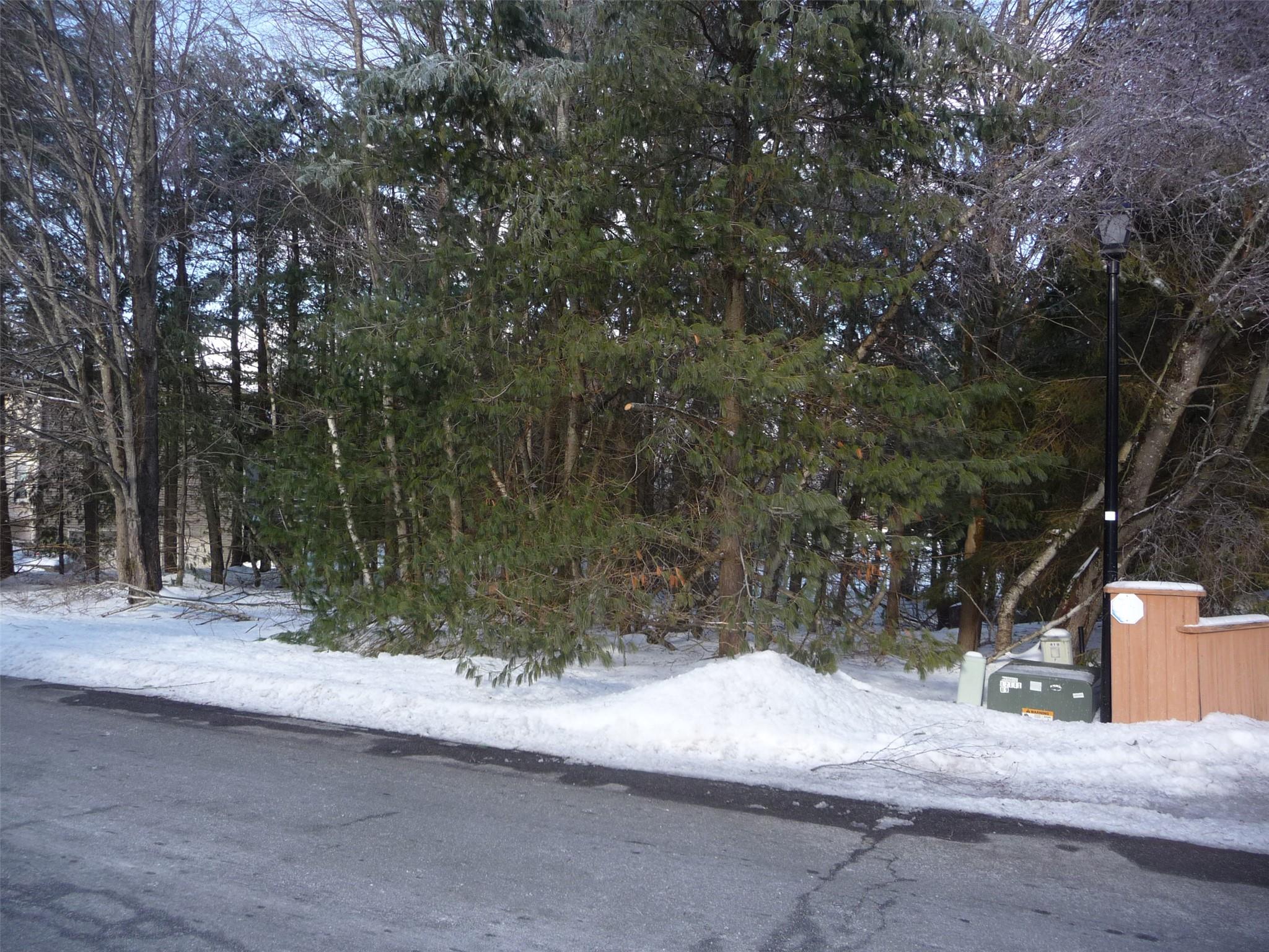 #4 photo, 62B Lake Shore Drive, Rock Hill , NY 12775