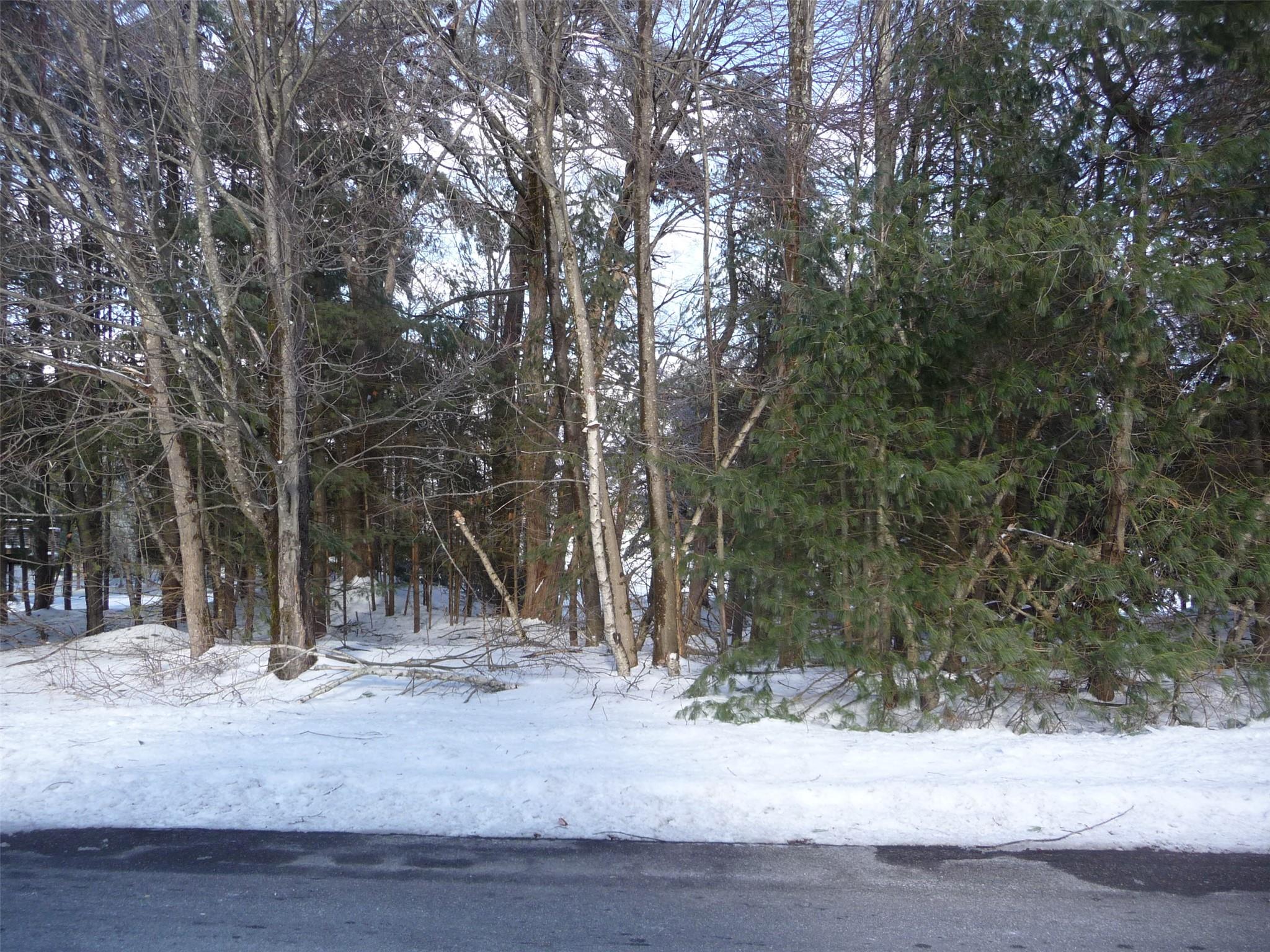 #5 photo, 62B Lake Shore Drive, Rock Hill , NY 12775