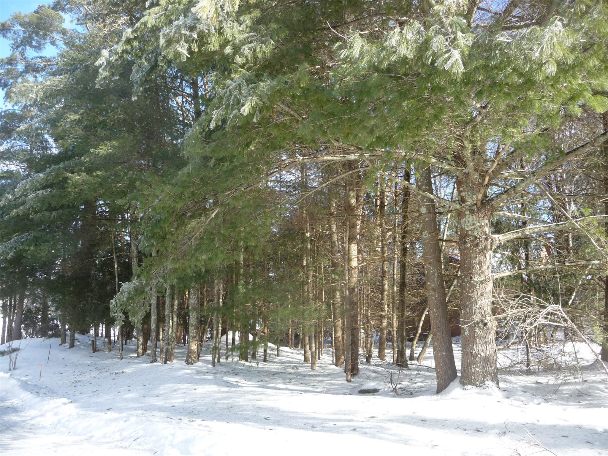 #6 photo, 62B Lake Shore Drive, Rock Hill , NY 12775