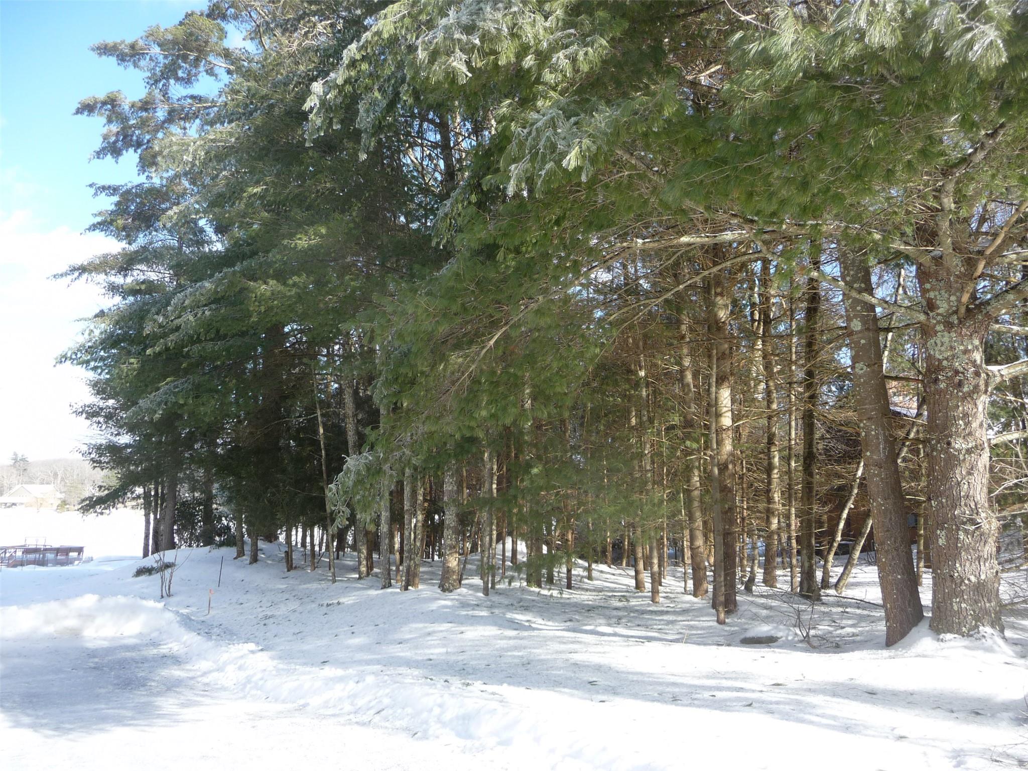 #7 photo, 62B Lake Shore Drive, Rock Hill , NY 12775