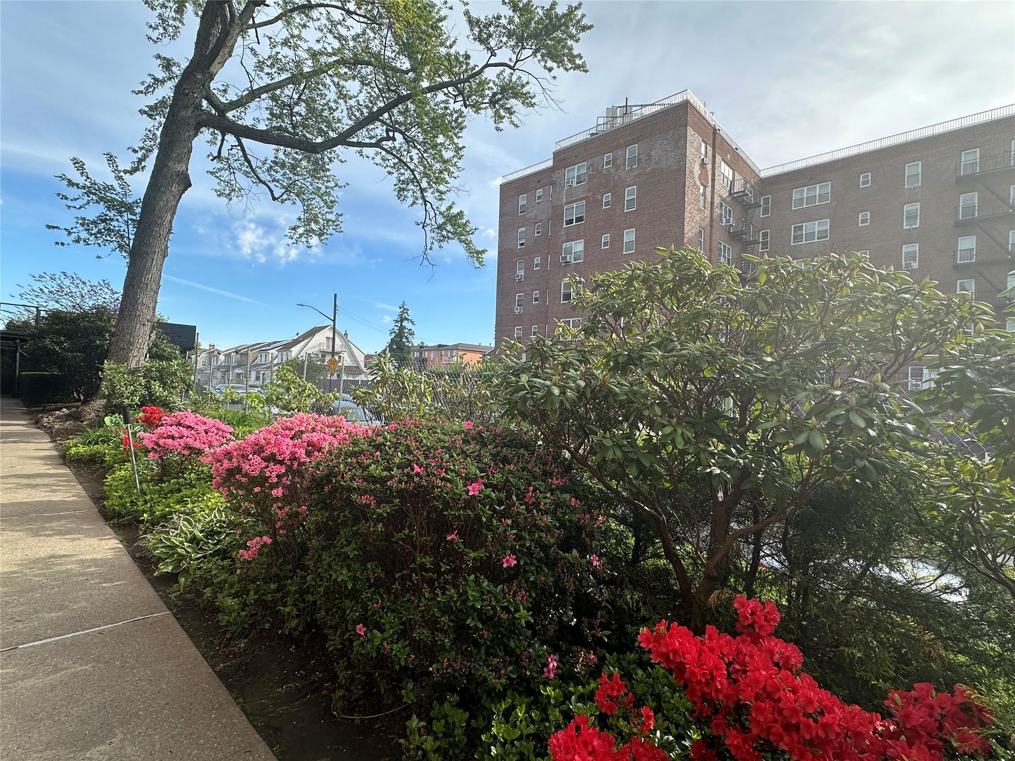 #13 photo, 84-49 168th Street, クイーンズ区 Jamaica Hills , NY 11432