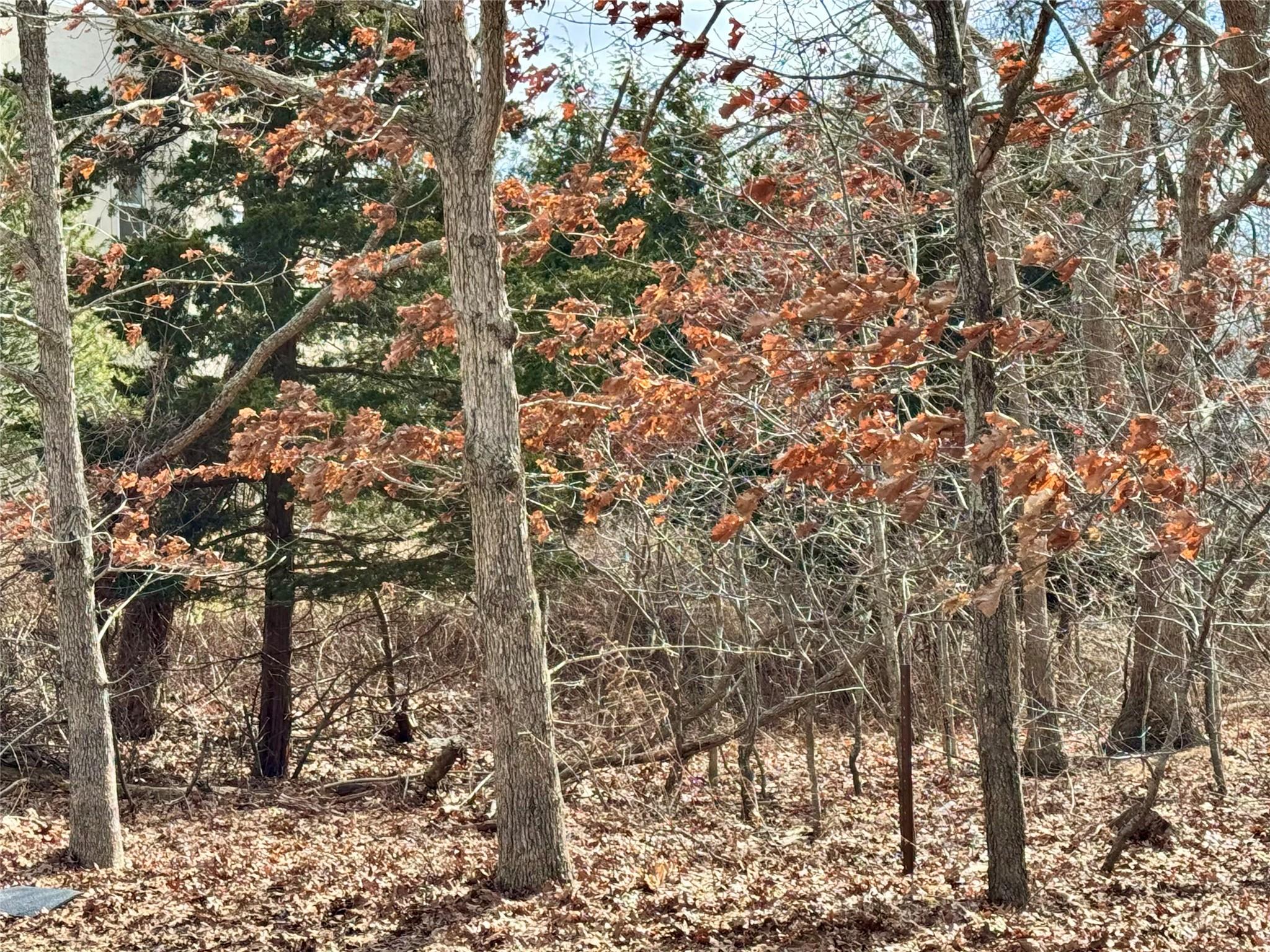 #3 photo, 31 and 35 Moon Avenue, 東長島 汉普顿 Flanders , NY 11901