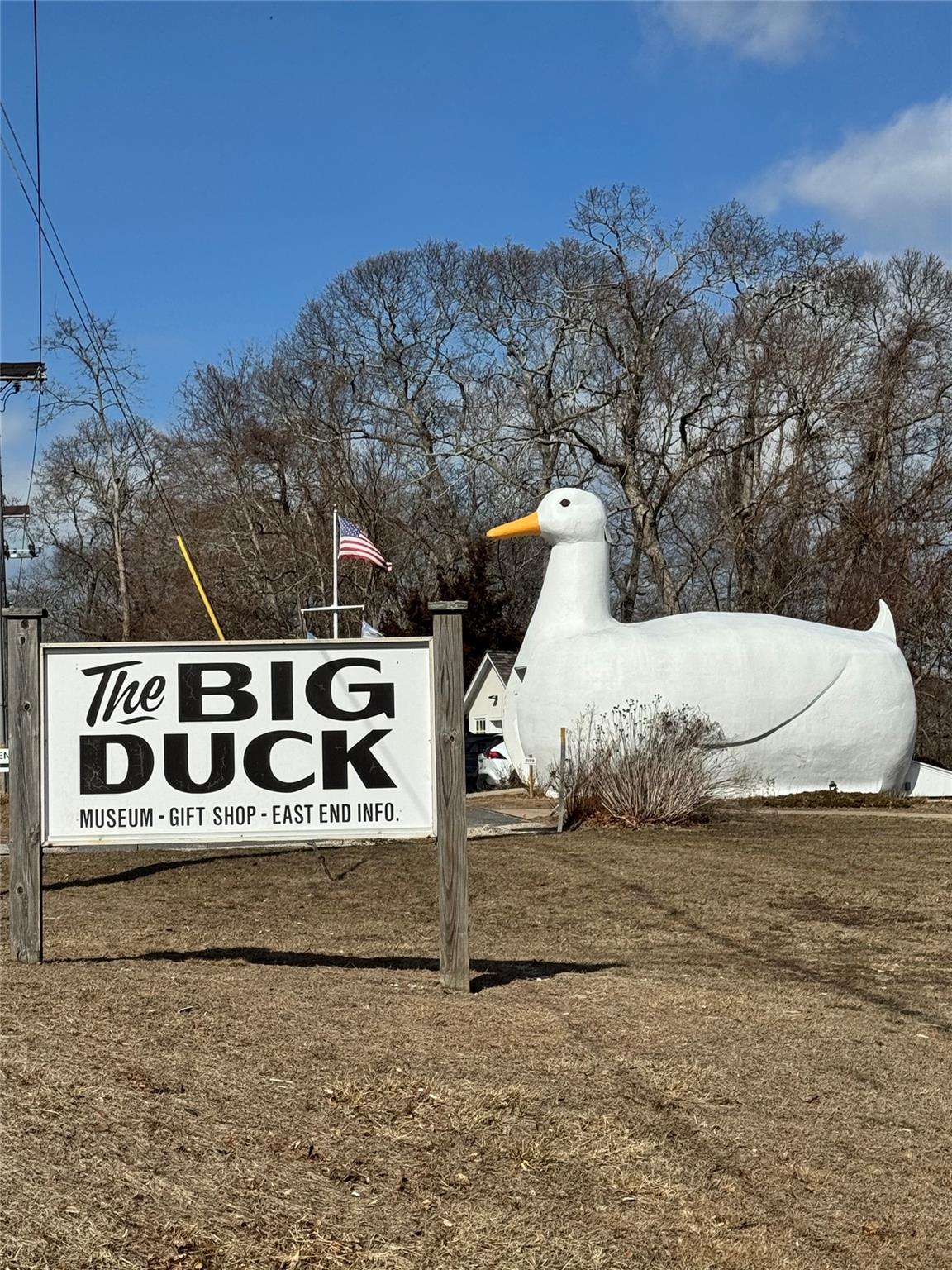 #6 photo, 31 and 35 Moon Avenue, 東長島 汉普顿 Flanders , NY 11901