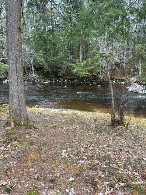 #14 photo, 0 Route 29, #9 Goldmine subdivision ROW, Dolgeville , NY 13329