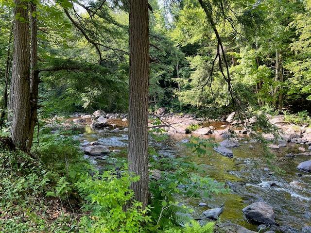 #15 photo, 0 Route 29, #9 Goldmine subdivision ROW, Dolgeville , NY 13329