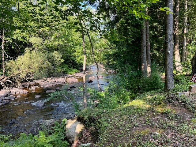 #16 photo, 0 Route 29, #9 Goldmine subdivision ROW, Dolgeville , NY 13329