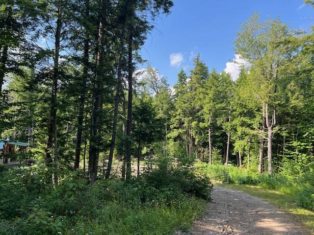 #17 photo, 0 Route 29, #9 Goldmine subdivision ROW, Dolgeville , NY 13329