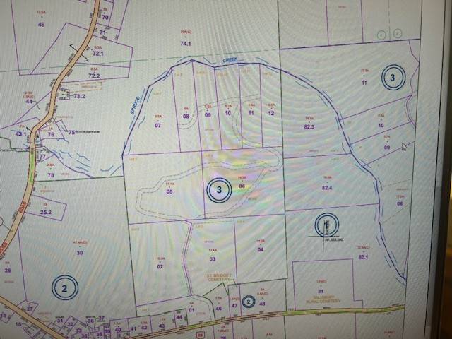 #2 photo, 0 Route 29, #9 Goldmine subdivision ROW, Dolgeville , NY 13329