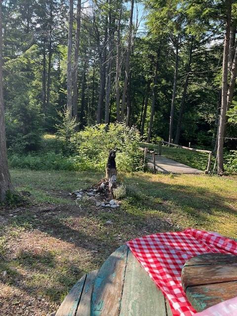 #22 photo, 0 Route 29, #9 Goldmine subdivision ROW, Dolgeville , NY 13329