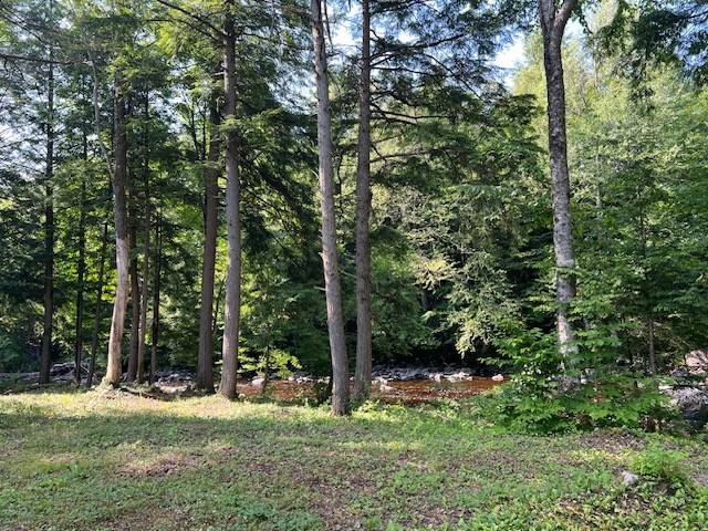 #24 photo, 0 Route 29, #9 Goldmine subdivision ROW, Dolgeville , NY 13329