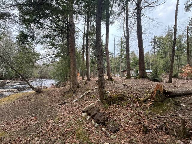 #6 photo, 0 Route 29, #9 Goldmine subdivision ROW, Dolgeville , NY 13329