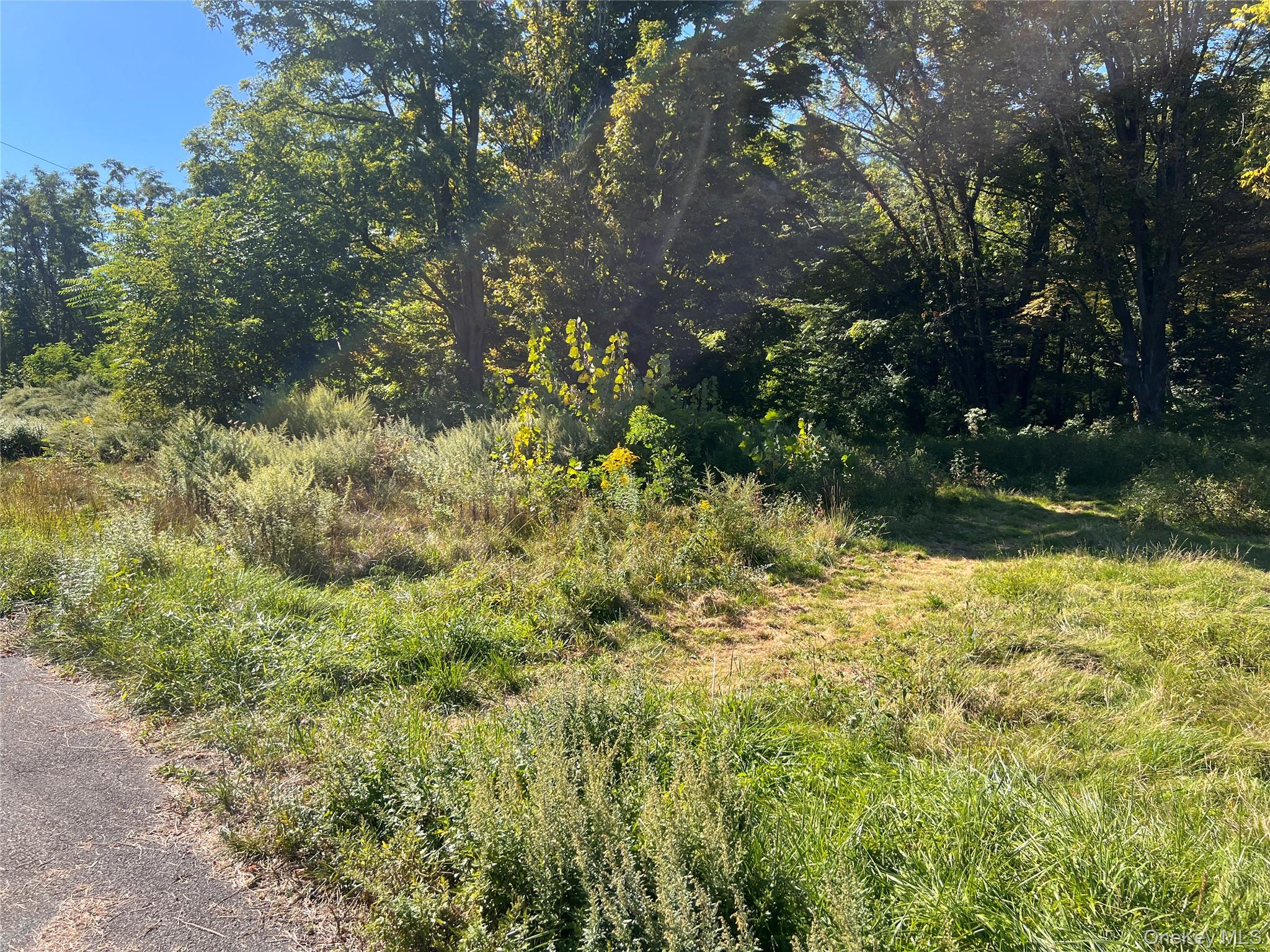 #2 photo, 15 Main Street, Napanoch , NY 12458