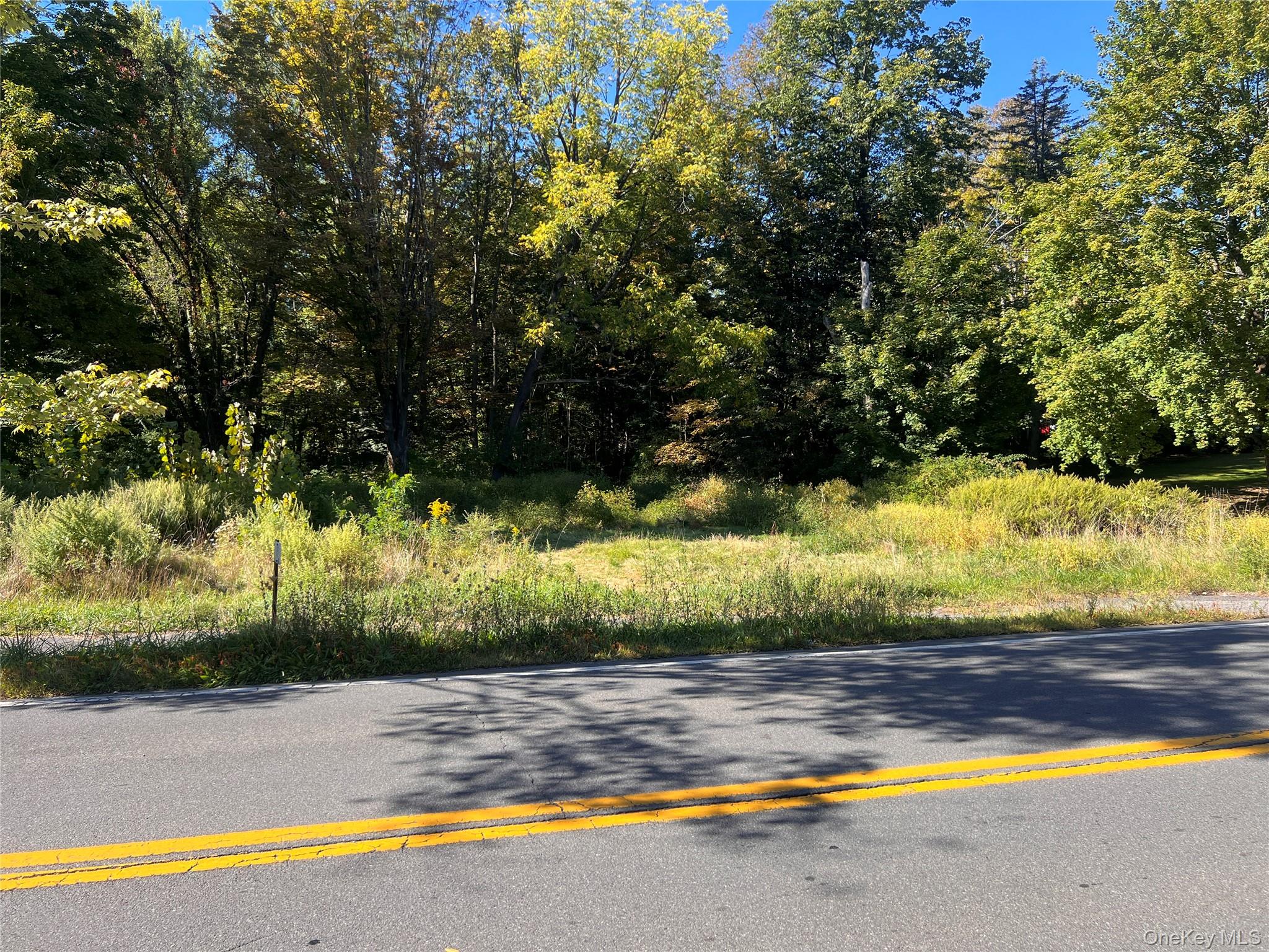 #3 photo, 15 Main Street, Napanoch , NY 12458