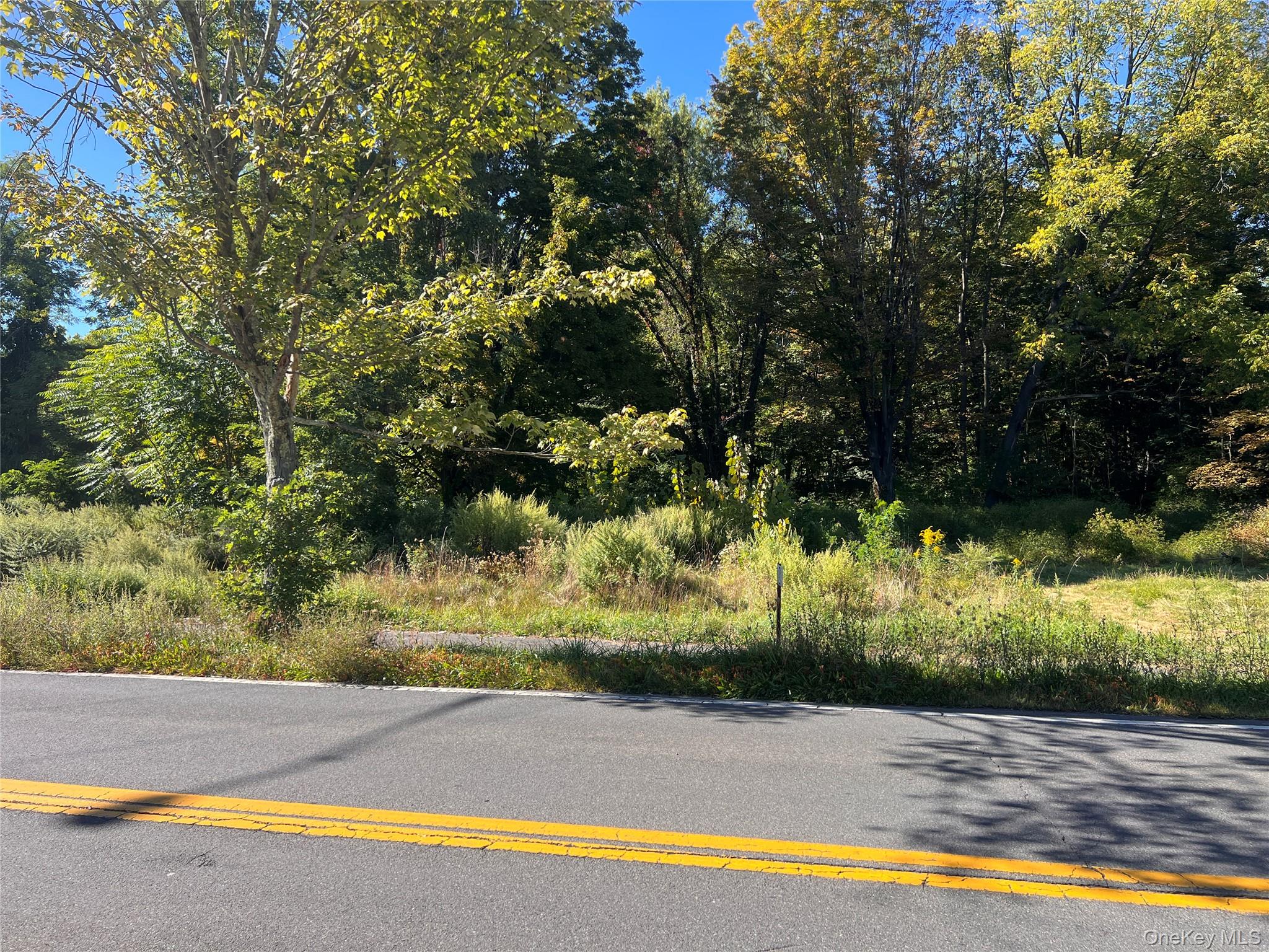 #4 photo, 15 Main Street, Napanoch , NY 12458