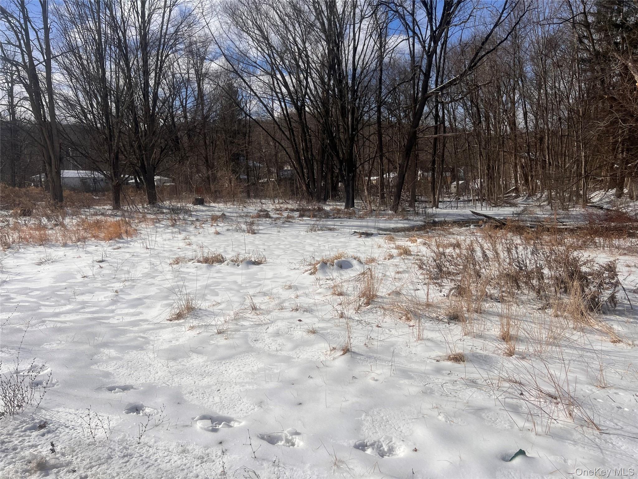 #6 photo, 15 Main Street, Napanoch , NY 12458