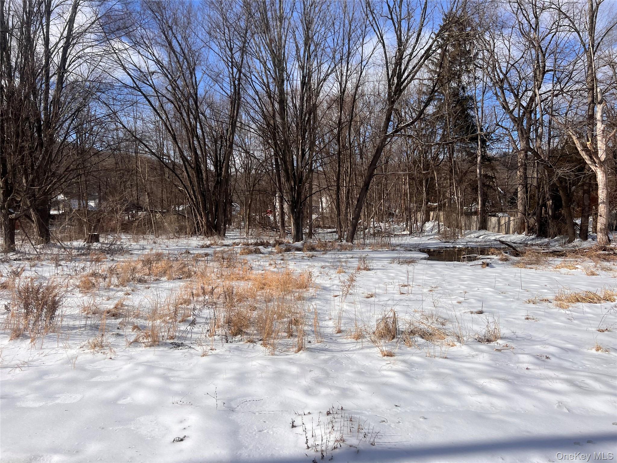 #7 photo, 15 Main Street, Napanoch , NY 12458