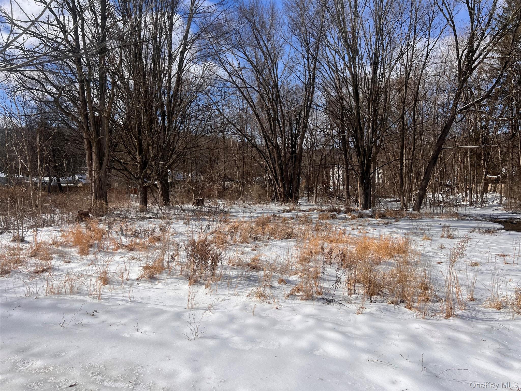 #8 photo, 15 Main Street, Napanoch , NY 12458