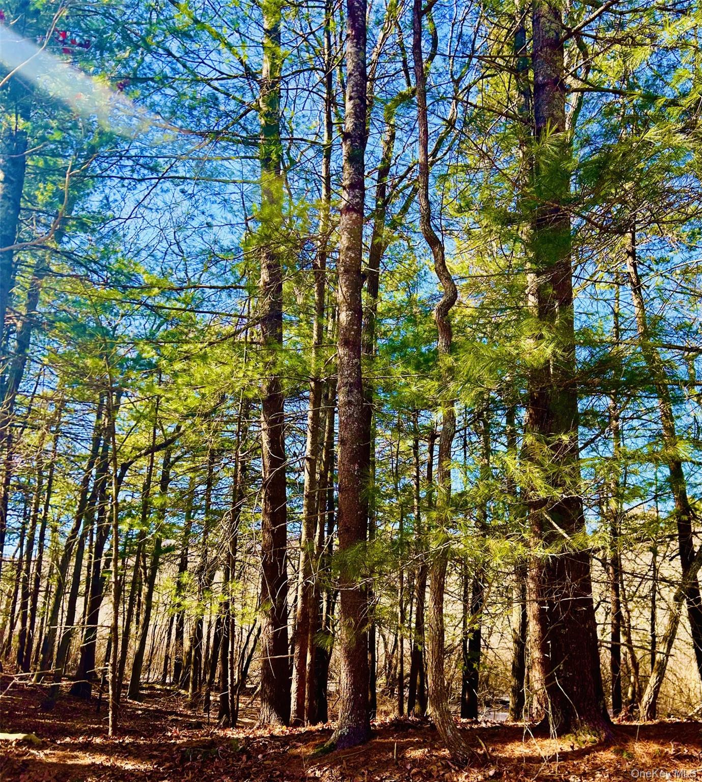 #4 photo, 11200 N Bayview Road, サフォーク郡 Southold , NY 11971