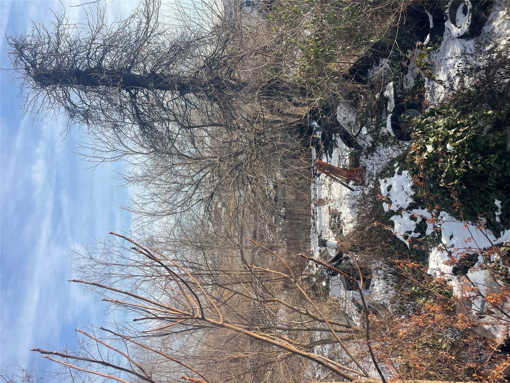 #9 photo, 234 Betts Avenue, Бронкс ‖ Bronx , NY 10473