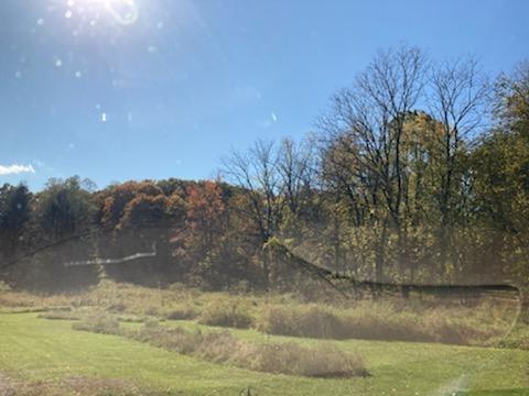 #2 photo, Primrose Hill Road, Rhinebeck , NY 12572