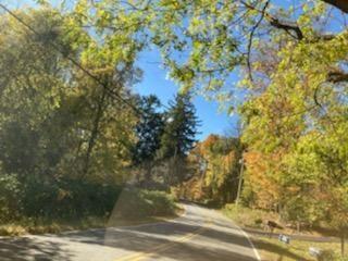 #4 photo, Primrose Hill Road, Rhinebeck , NY 12572