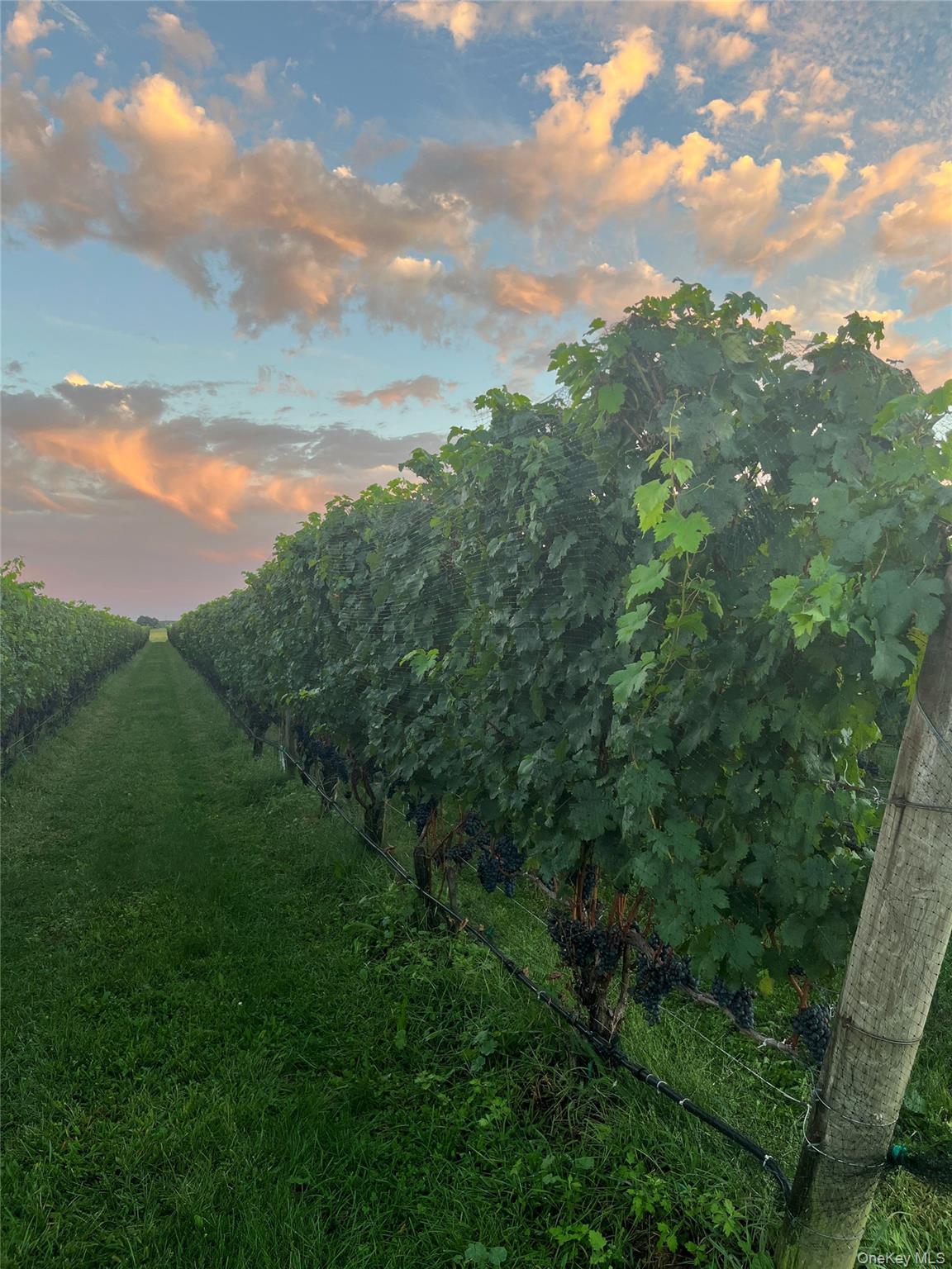 #3 photo, 6094 Sound Avenue, サフォーク郡 Jamesport , NY 11947