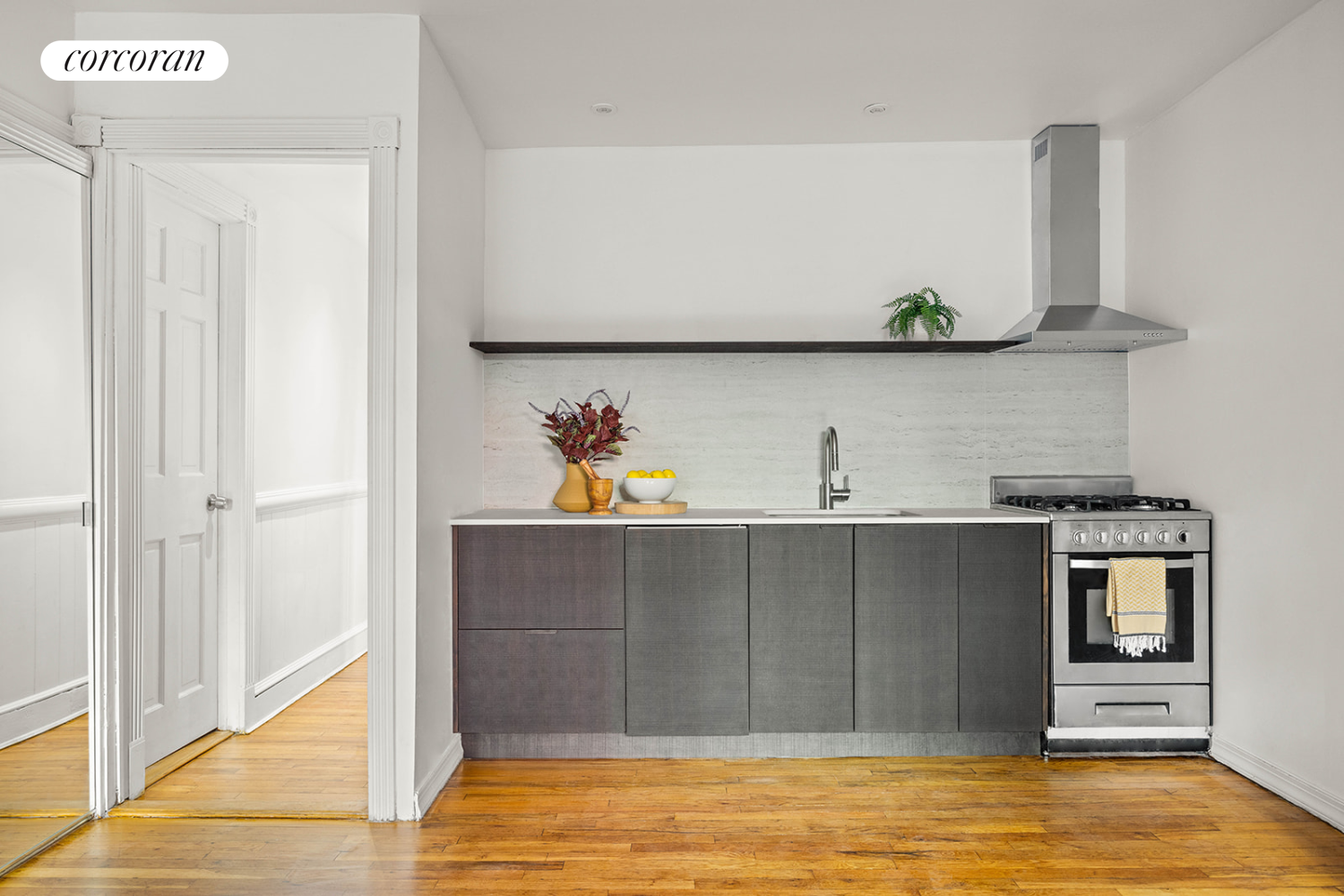 #1 photo, 463A 1ST Street, 布鲁克林 公园斜坡 Park Slope , NY 11215