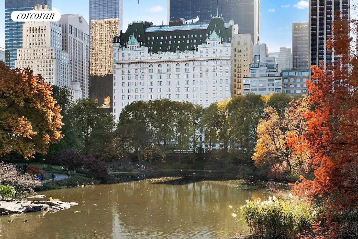 #16 photo, 1 CENTRAL Park S, マンハッタン Central Park South , NY 10019