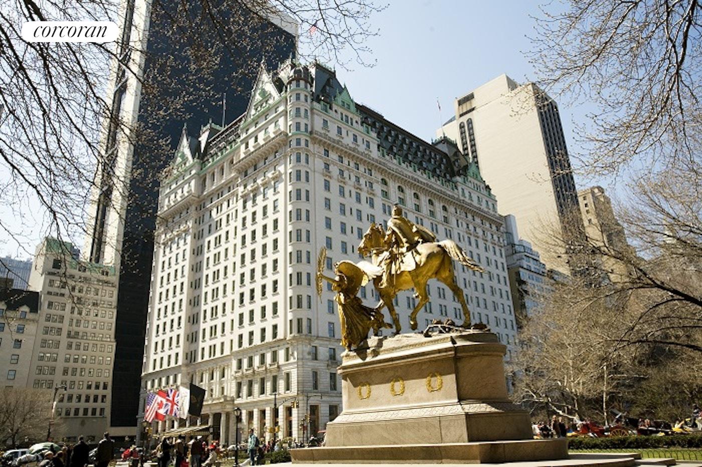 #17 photo, 1 CENTRAL Park S, マンハッタン Central Park South , NY 10019