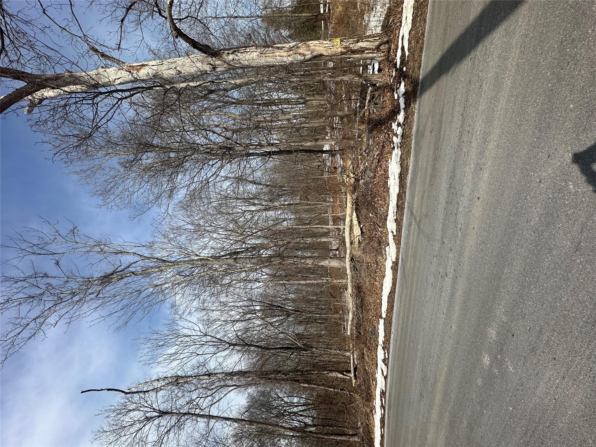 #2 photo, 109 Cardinal Road, Hyde Park , NY 12538