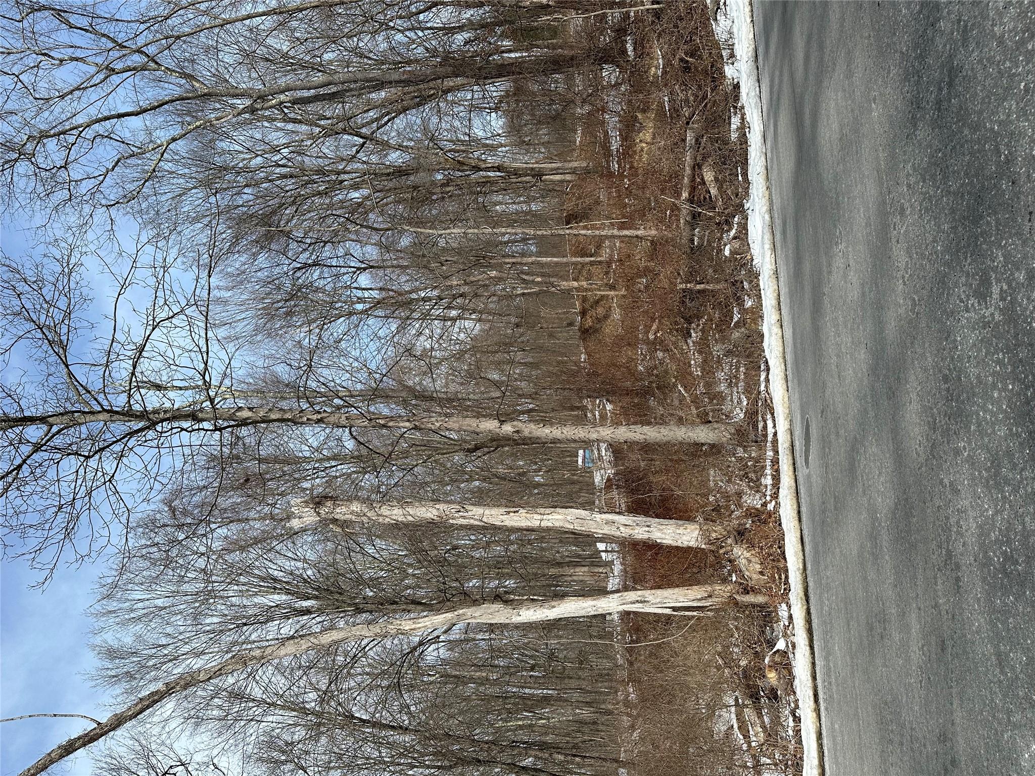 #3 photo, 109 Cardinal Road, Hyde Park , NY 12538