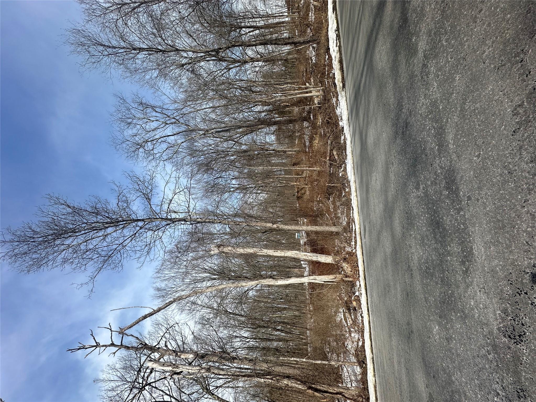 #4 photo, 109 Cardinal Road, Hyde Park , NY 12538