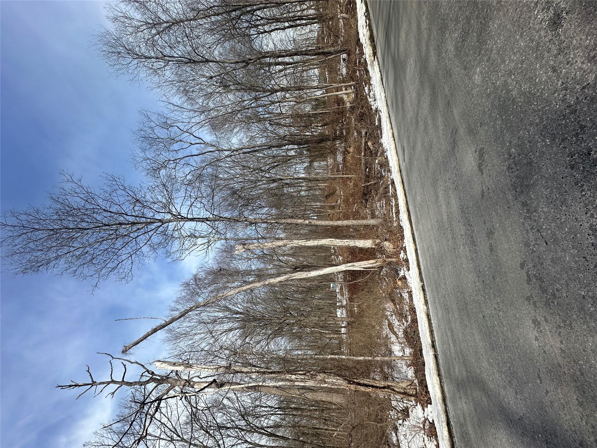 #5 photo, 109 Cardinal Road, Hyde Park , NY 12538