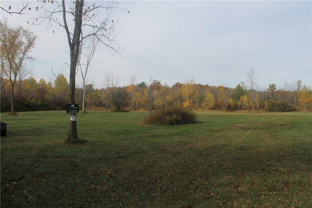 #4 photo, Newry Road, Greenville , NY 12083